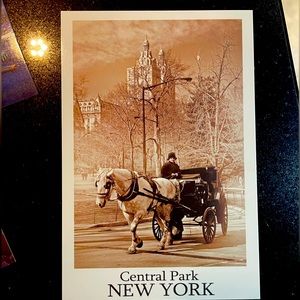 Assorted NYC postcards 4x6 color and black and white. Iconic pictures .
